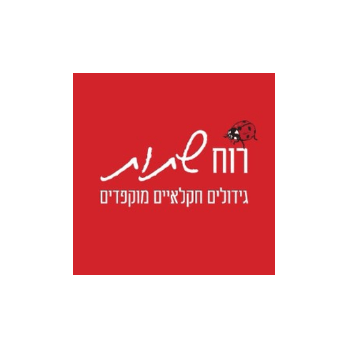 רוח שתות