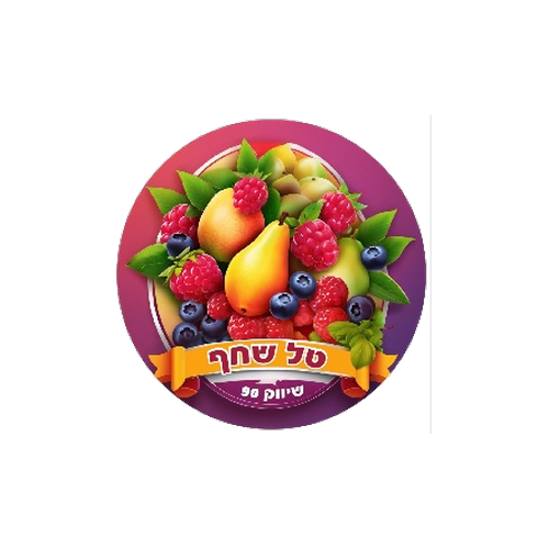 טל שחף שיווק 90