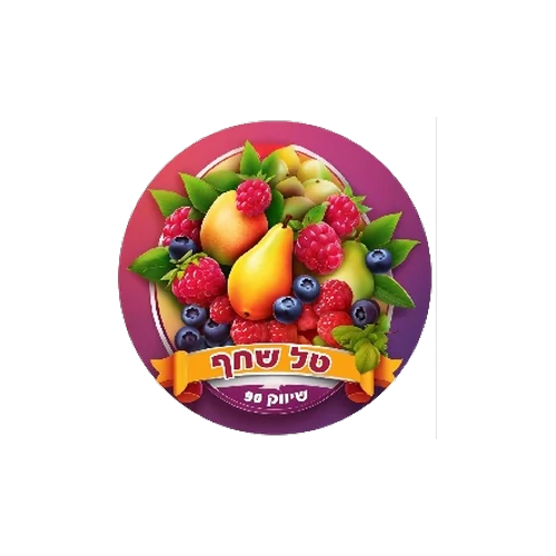 טל שחף שיווק 90