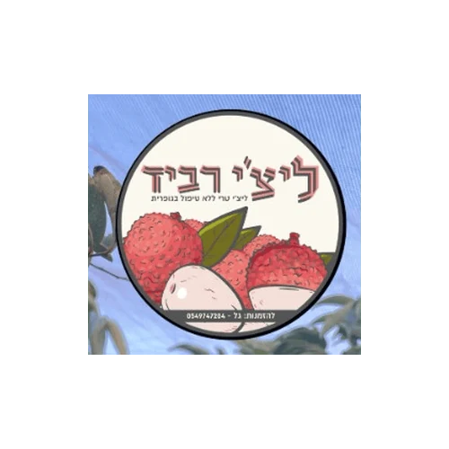 ליצ׳י רביד